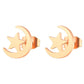 2024 New Star Earings Punk Stud Earrings Stainless Steel Everyday Teen Jewelry Pentagram Earing for Women Wholesale Oorbellen