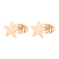 2024 New Star Earings Punk Stud Earrings Stainless Steel Everyday Teen Jewelry Pentagram Earing for Women Wholesale Oorbellen
