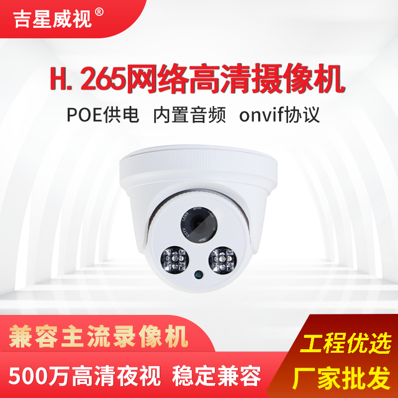 Wired Digital HD Night Vision Poe For Home Dome Network Camera H.265 Audio Monitoring Network Cable Power Supply