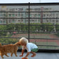 Breathable Mesh Pet Barrier for Stairs & Doors - Portable Indoor Dog Fence & Baby Safety Guardrail