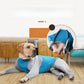 Dog Recovery Suit Pet Home Wear Pajamas High-elastic Breathable Dog Jumpsuit Pet Operative Protection Long Sleeves Bodysuit