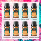 HIQILI 10ml Fragrance Oils, Best Oil for Home, Hotel,Travel ,Diffuser, Humidifier, Candle, Soap, Air Freshener and DIY Perfume