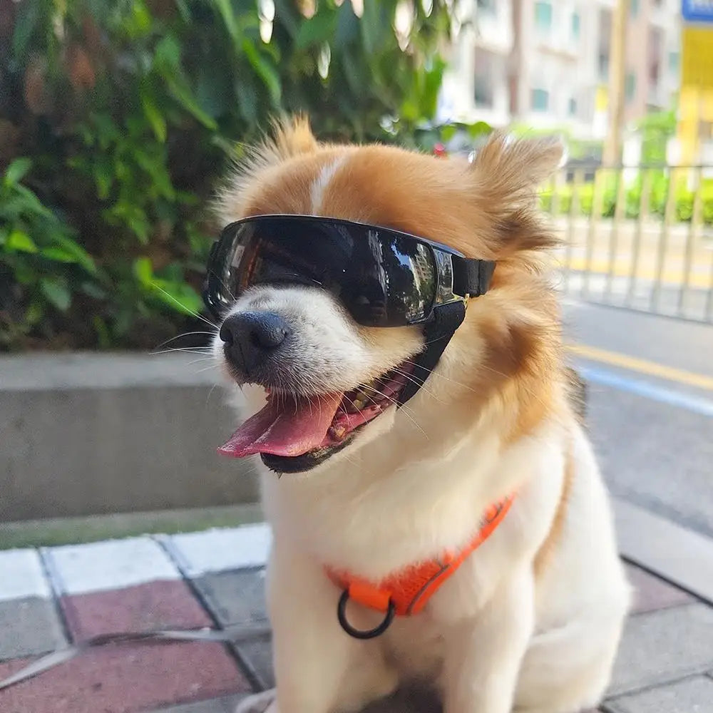 Pet Protection Glasses Dog Goggles Anti-UV With Adjustable Strap Dog Eye Wear Pet Sunglasses Dog Decoration Waterproof Cool