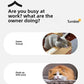 Rechargeable Smart Pet Interactive Automatic Rolling Ball Toy Cats Pet Products New Electric Dog Ball Toy Simulated Tail For Cat