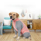 Dog Recovery Suit Pet Home Wear Pajamas High-elastic Breathable Dog Jumpsuit Pet Operative Protection Long Sleeves Bodysuit