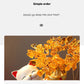 Haibeihai Lucky Cat Key Storage Entrance Decoration Home Living Room Desktop Pachira Macrocarpa Entrance Decorations