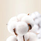 Women Thermal Underwear Winter Long Sleeve Winter Clothes Seamless Thermal Underwear Intimate Set Female Thick 2 Pcs Sleepwear