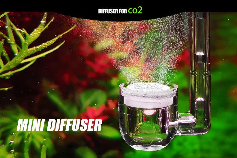 MINI CO2 Diffuser With Bubble Counter Twinstar Style Atomizer Acrylic Aquarium Carbon Dioxide Transparent Fish Tank Water Plants