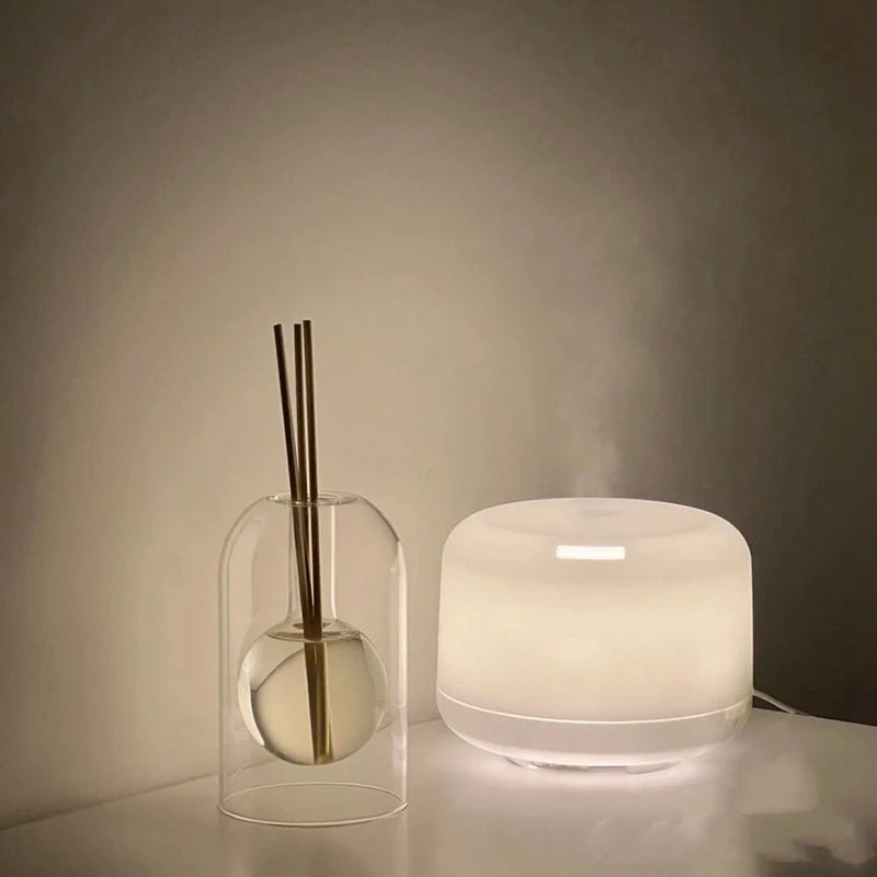 AD-Storage Containers Diffuser Bottles Aromatherapy Diffuser Bottle Modern Diffuser Glass Bottle Essential Oil Organizers