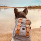 Preppy Style Bulldog Dog Travel Backpack Harness For Small Medium Dogsr To Wear Outdoor Cute Dog Carrier Bag Backpack Pets