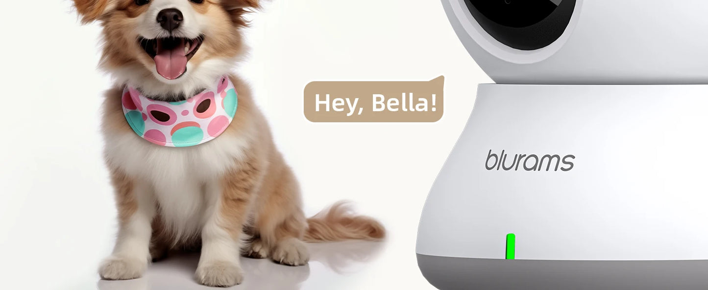 Blurams 2.4＆5G WiFi Indoor Camera, 2K, 360° PTZ Pet Dog IP CCTV Camera with Phone App, 2-Way Talk, Night Vision, for Home Securi