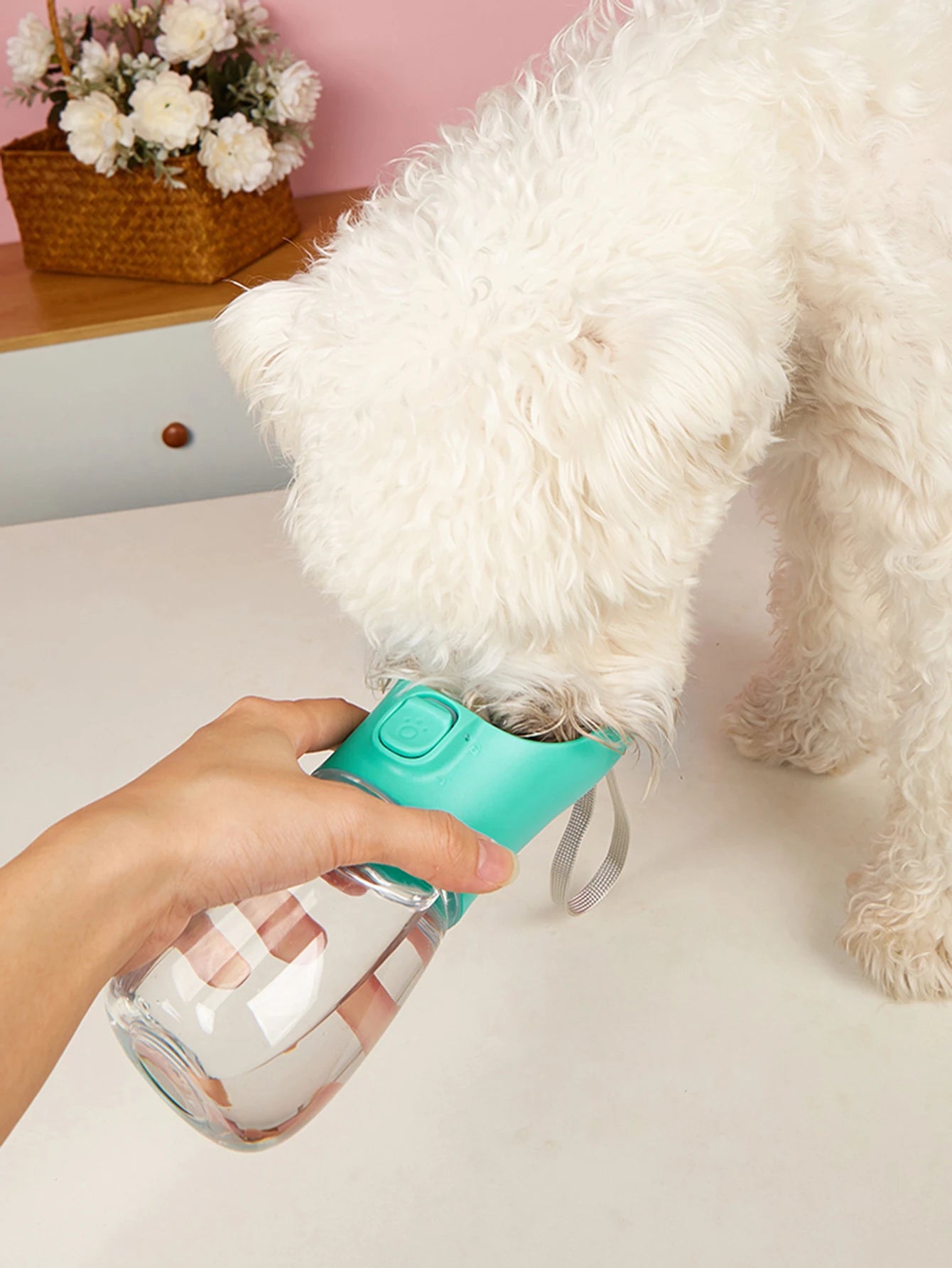 Portable Dog Water Bottle for Small Medium Dogs Cats Outdoor Leakproof Travel Walking Chihuahua Drinking Bottle Pug Pet Supplies