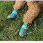 Dog Shoes Summer For Small Dogs Chihuahua Pet Supplies Dog Boots Anti-skid Wear-resistant Pets Accessories