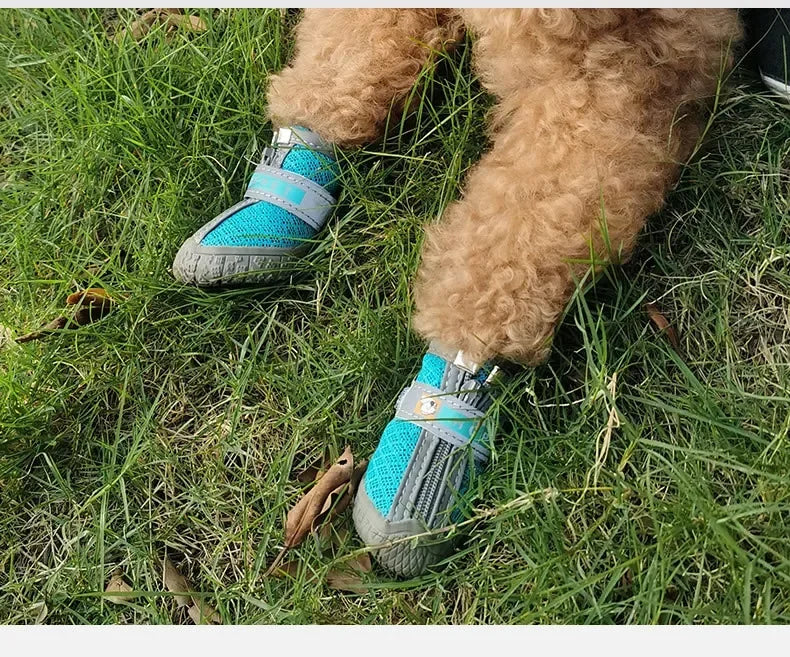 Dog Shoes Summer For Small Dogs Chihuahua Pet Supplies Dog Boots Anti-skid Wear-resistant Pets Accessories