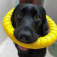 Dog Ring Toys Indestructible Chewing Flying Floating Training Tools Fetch for Small Medium Large Dogs Throwing Catching Flying