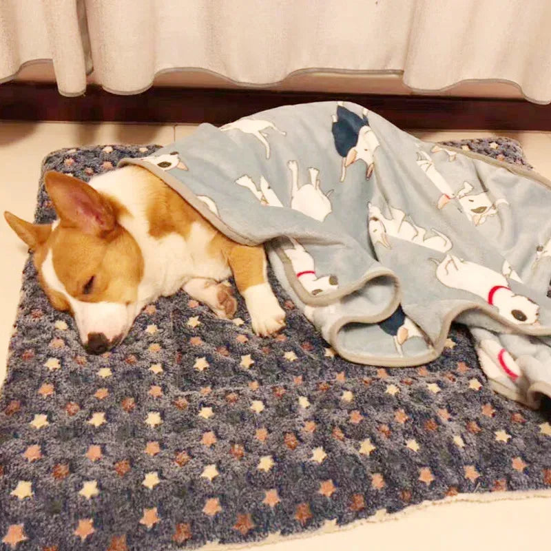 Pet Sleeping Mat Washable Plush Bed Mats for Cats  Blanket Pad Fleece Home Washable Warm Bear Pattern Blanket Pet Supplies