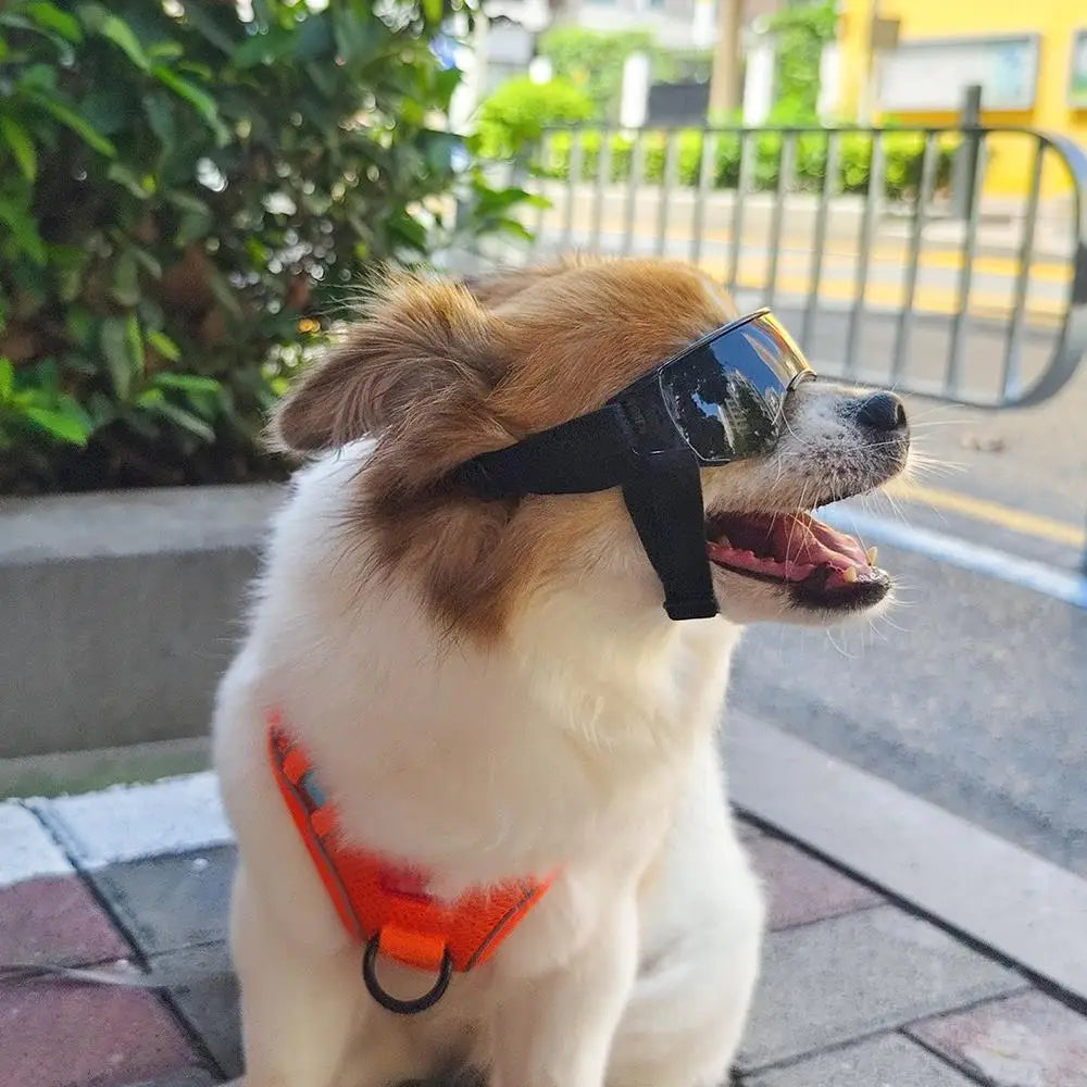 Pet Protection Glasses Dog Goggles Anti-UV With Adjustable Strap Dog Eye Wear Pet Sunglasses Dog Decoration Waterproof Cool