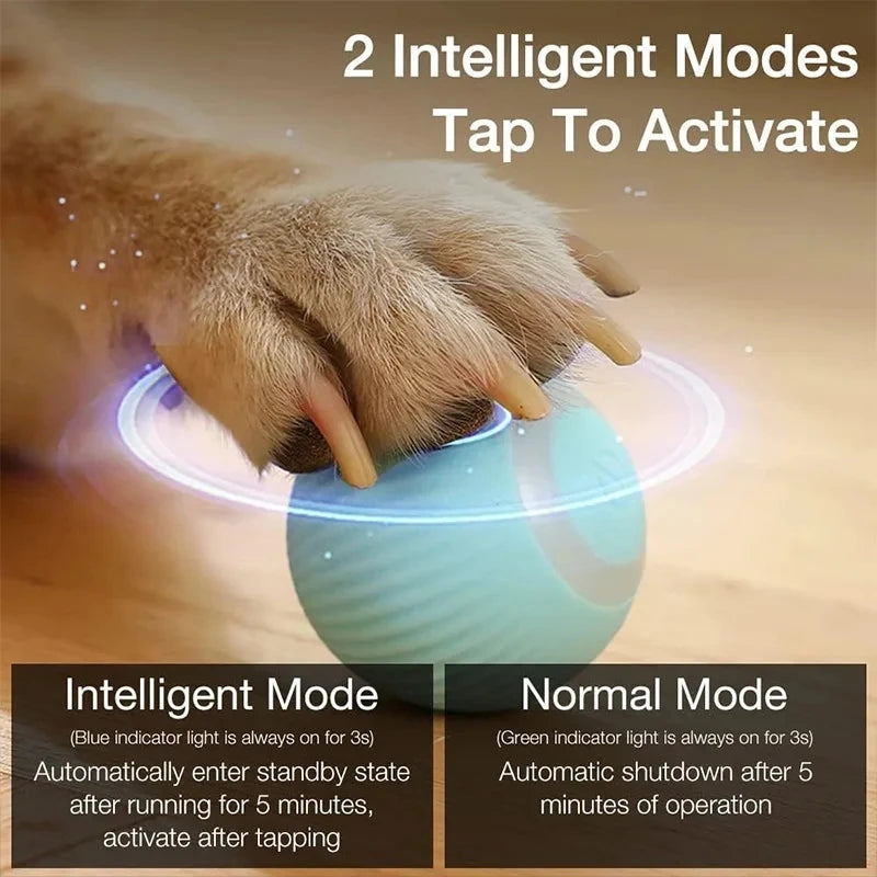 Power Ball Cat Toy, Interactive Cat Smart Ball Toy, Automatic Power Rolling Ball, Indoor Smart Pet Toy Ball with USB Charging