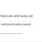 Haibeihai Lucky Cat Key Storage Entrance Decoration Home Living Room Desktop Pachira Macrocarpa Entrance Decorations