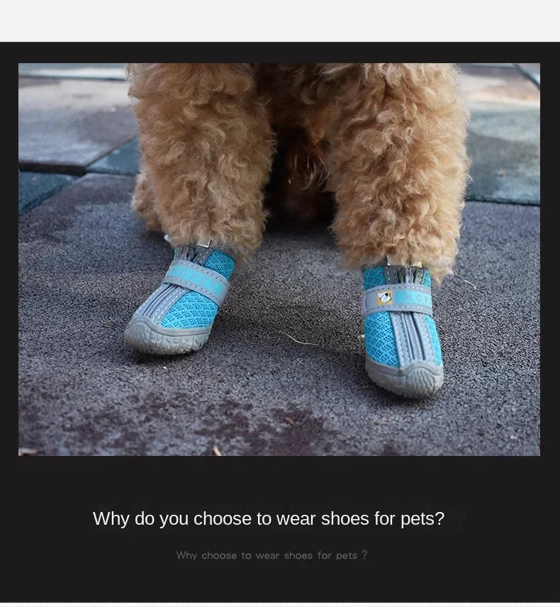 Dog Shoes Summer For Small Dogs Chihuahua Pet Supplies Dog Boots Anti-skid Wear-resistant Pets Accessories