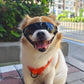 Pet Protection Glasses Dog Goggles Anti-UV With Adjustable Strap Dog Eye Wear Pet Sunglasses Dog Decoration Waterproof Cool