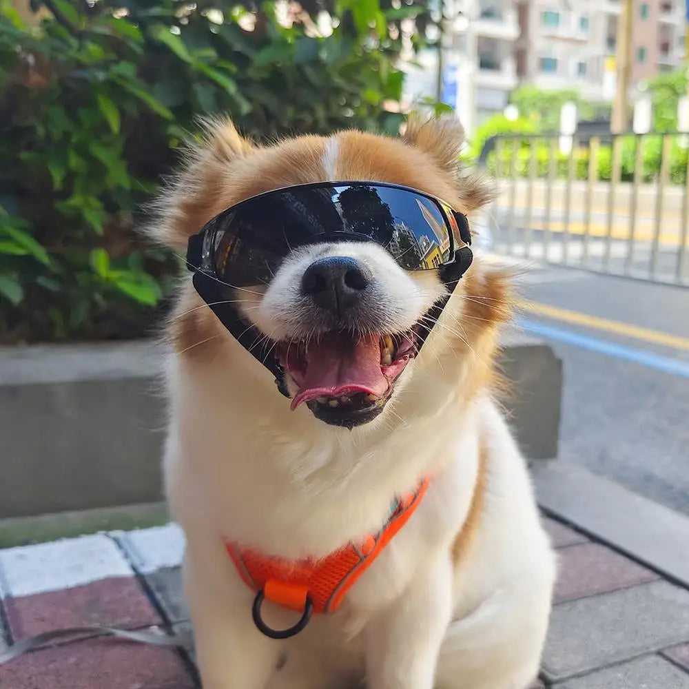 Pet Protection Glasses Dog Goggles Anti-UV With Adjustable Strap Dog Eye Wear Pet Sunglasses Dog Decoration Waterproof Cool