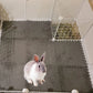 30*30cm 1-10Pcs Pet Warming Pad EVA Foam Guinea Pig Hamster Soft Sleeping Mat Rabbit Sleeping Mat Blanket Bed Pet Accessories