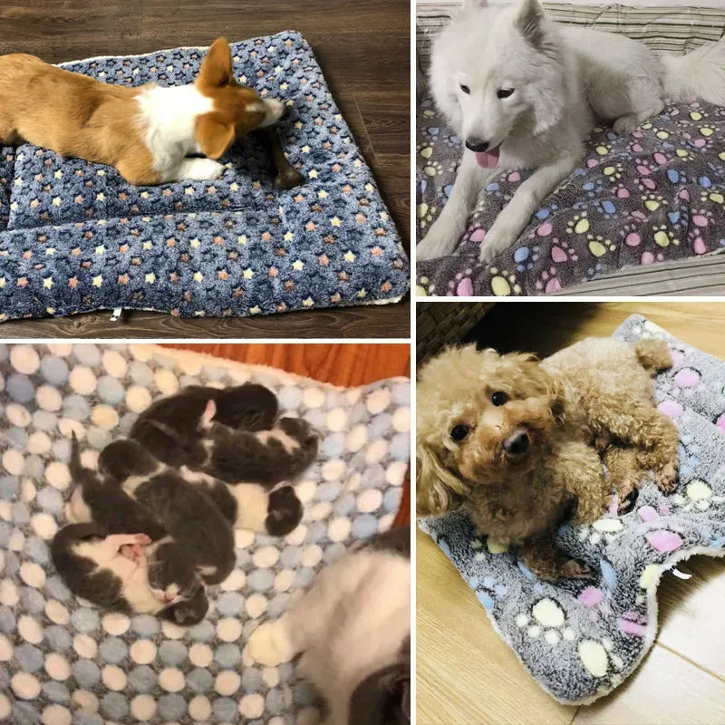 Pet Sleeping Mat Washable Plush Bed Mats for Cats  Blanket Pad Fleece Home Washable Warm Bear Pattern Blanket Pet Supplies