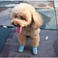 Dog Shoes Summer For Small Dogs Chihuahua Pet Supplies Dog Boots Anti-skid Wear-resistant Pets Accessories