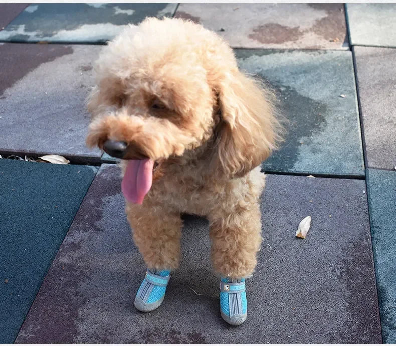 Dog Shoes Summer For Small Dogs Chihuahua Pet Supplies Dog Boots Anti-skid Wear-resistant Pets Accessories
