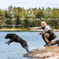 Electric Pet Training Collar, Remote Control, Anti Bark Vibration Collars Dog Sound, for Dogs, Waterproof, Rechargeable, Colar