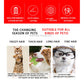 Electric Pet Clipper Grooming Kit For Dogs Reachageable Trimmer Haircut Cat Hair Cutting Remover Professional Machine Set