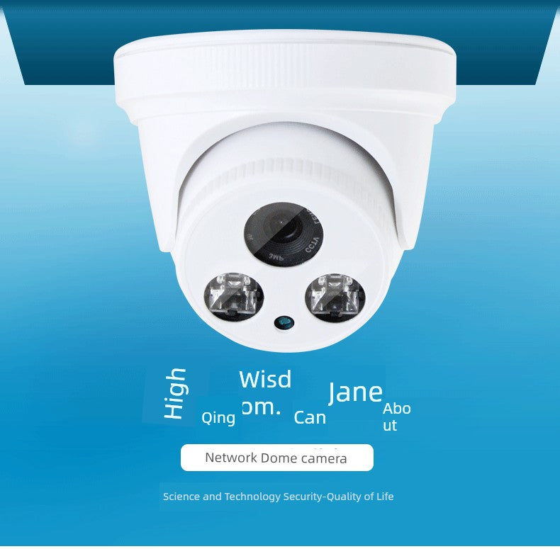 Wired Digital HD Night Vision Poe For Home Dome Network Camera H.265 Audio Monitoring Network Cable Power Supply