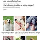 Electric Bark Training Collar, Remote Control, Anti Dog Vibration for Colar Pet Dogs, Collars Rechargeable, Waterproof, Sound,